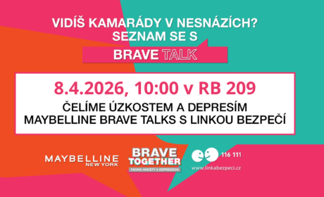 Přednáška od Linky Bezpečí