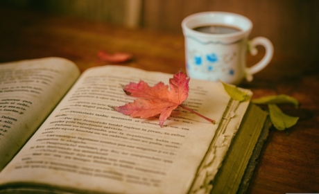 Workshopy pro studenty